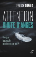 Attention, chute d'anges