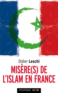Misère(s) de l'islam de France (poche)