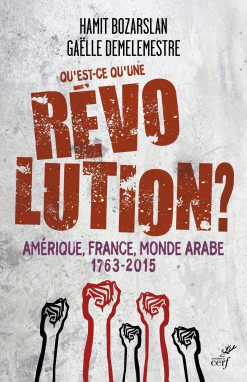 Qu'est-ce qu'une révolution ?